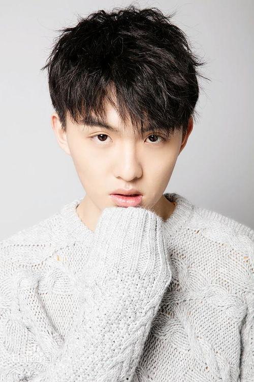 郑伟爆料视频播放大全下载,揭秘事件背后真相